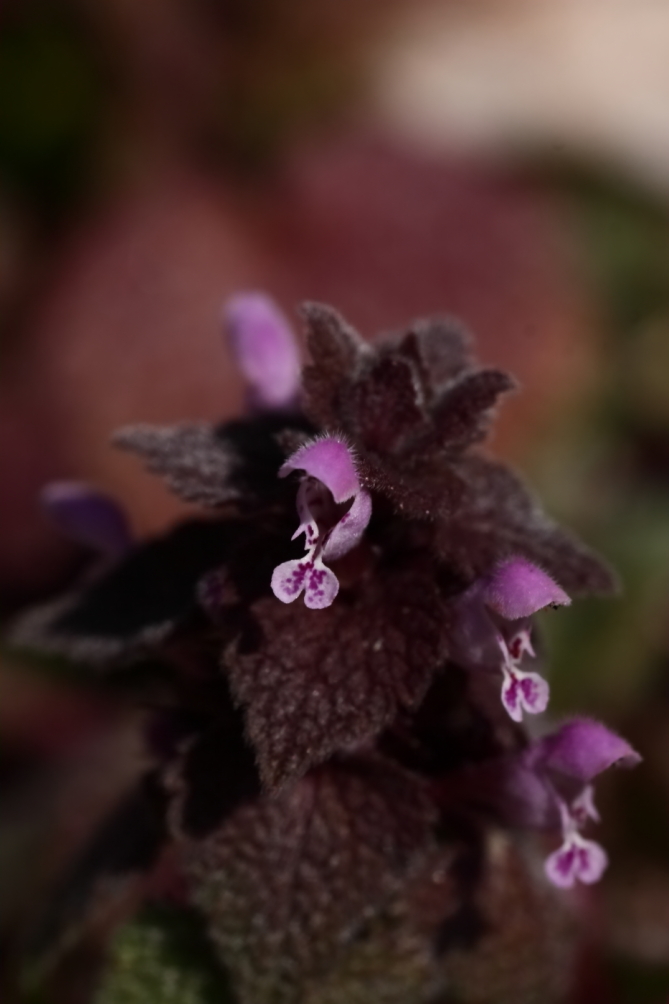 2012 03 08 8538